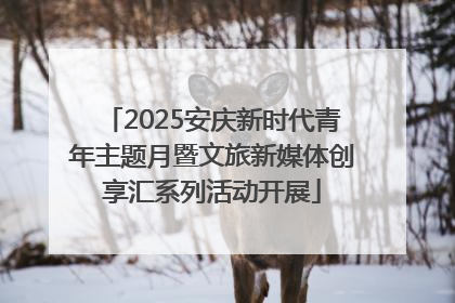 2025安庆新时代青年主题月暨文旅新媒体创享汇系列活动开展